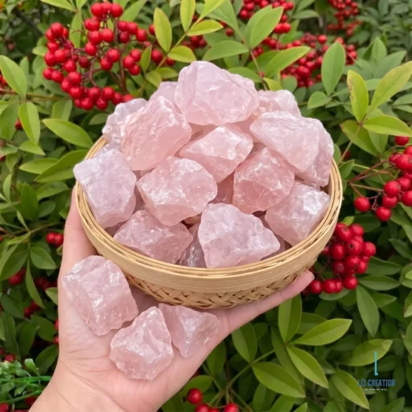May include: A collection of raw, light pink rose quartz crystals in a small, woven basket. The crystals are held in a hand, with a backdrop of green leaves and May include: A collection of raw, light pink rose quartz crystals in a small, woven basket. The crystals are held in a hand, with a backdrop of green leaves and red berries. The crystals have a rough, natural texture.
